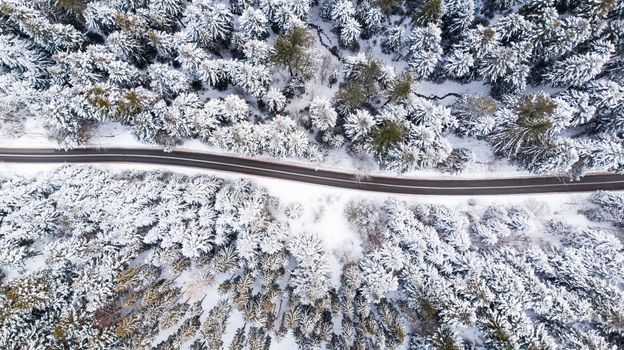 Road Trough Winter Wonderland, Top Down Drone View.