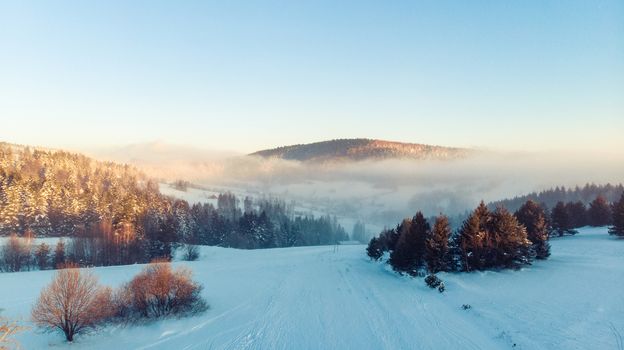 Cold Morning at Winter Season with Hoar Frost over Trees.