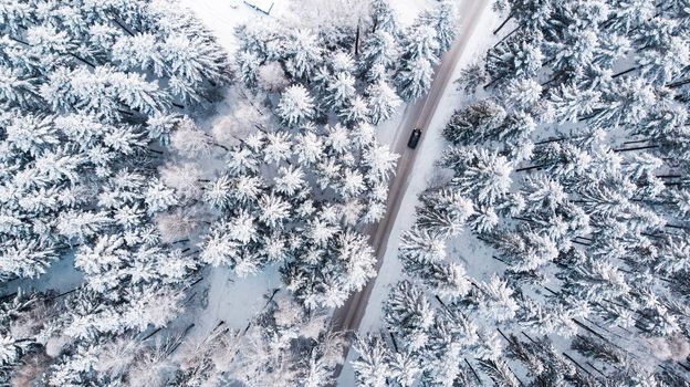 Car Drive Trough Snowy Forest in Winter Wonderland, Top Down Aerial View.