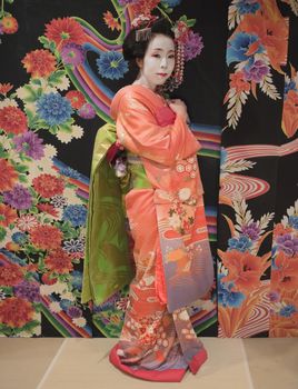 Maiko in kimono posing in front of a background with traditional floral pattern on a tatami.