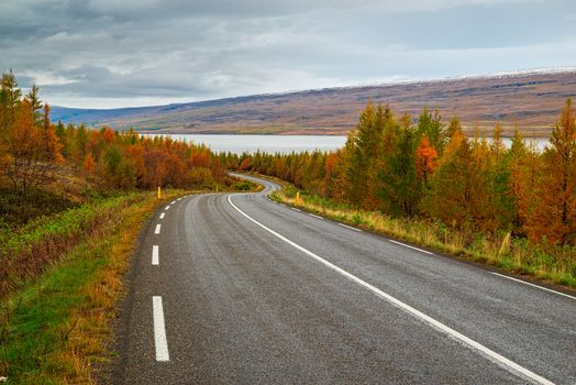 Panoramic view along the road for Lagarfljot river in eastside of Iceland