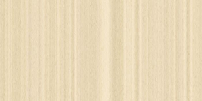 Maple wood surface seamless texture. Wooden maple board panel background.Maple wood surface seamless texture. Maple wooden board panel background. Vertical across tree fibers direction.