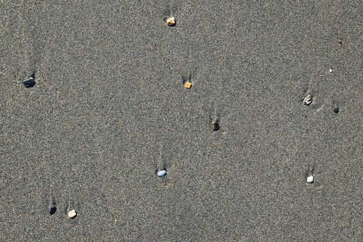 Rare pebble background. Different stones with stains on the wet sand. Beach beauty backdrop.