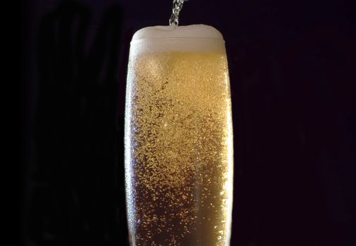 Close up beer pouring into misted glass on black background. Bubbles rising up and beatifully shining in the light beam.