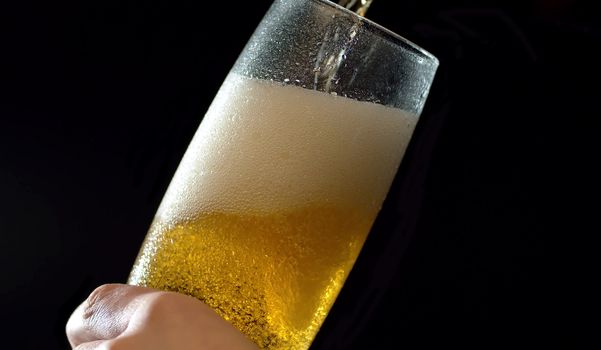 Close up beer pouring into misted glass on black background. Bubbles rising up and beatifully shining in the light beam.