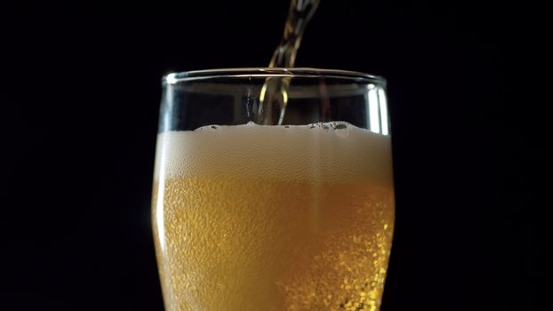 Close up beer pouring into glass on black background. Bubbles rising up and beatifully shining in the light beam.