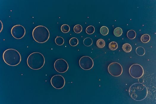 Fish farm with floating cages in Chalkidiki, Greece. Aerial view