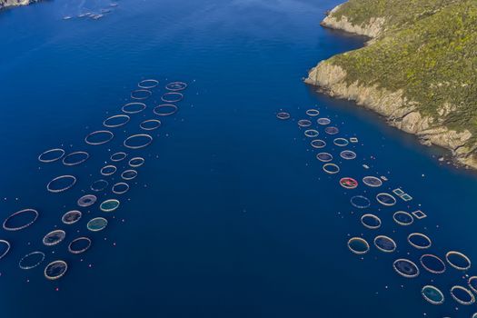 Fish farm with floating cages in Chalkidiki, Greece. Aerial view