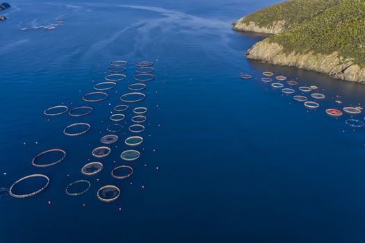 Fish farm with floating cages in Chalkidiki, Greece. Aerial view