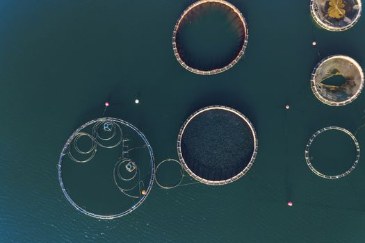 Fish farm with floating cages in Chalkidiki, Greece. Aerial view