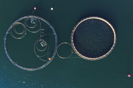 Fish farm with floating cages in Chalkidiki, Greece. Aerial view