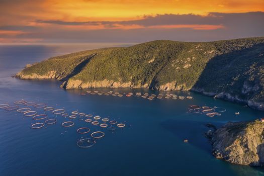 Fish farm with floating cages in Chalkidiki, Greece. Aerial view