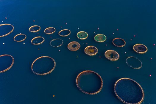 Fish farm with floating cages in Chalkidiki, Greece. Aerial view