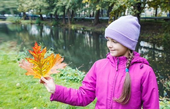 beautiful smiling girl in blue hat and magenta jacket holding multicolored autumn leaves outdoor on autumn day
