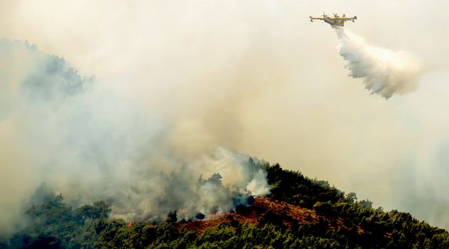 Fire in forest areas in Viotia in Central Greece