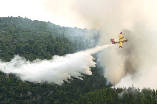 OURANOUPOLI, GREECE - AUGUST 9: A firefighting plane releases its load of water as it tries to extinguish a fire near the village of Ouranoupolis on August 9, 2012 in Ouranoupoli, Greece