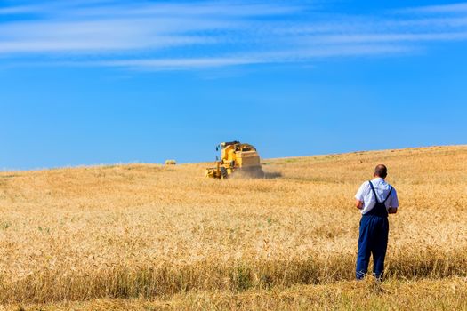 Combine harvester on a wheat field.