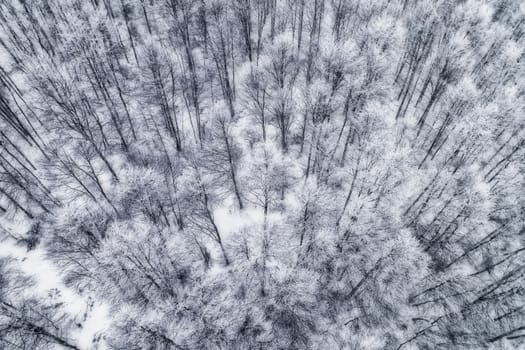 Aerial view of forest in the winter during the snowfall in the area of Naoussa in northern Greece. Captured from above with a drone.