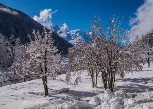 argentiere in chamonix in haute savoie in france