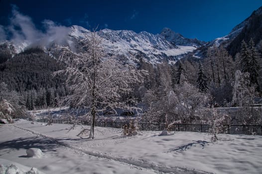 argentiere in chamonix in haute savoie in france