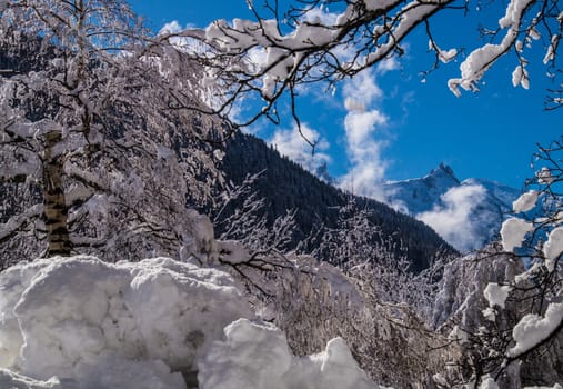 argentiere in chamonix in haute savoie in france