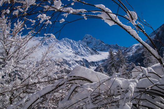 argentiere in chamonix in haute savoie in france