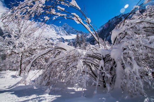 argentiere in chamonix in haute savoie in france