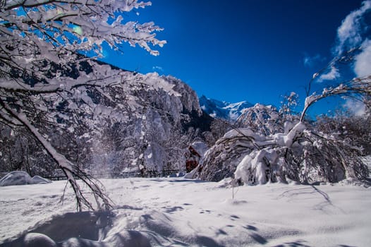 argentiere in chamonix in haute savoie in france