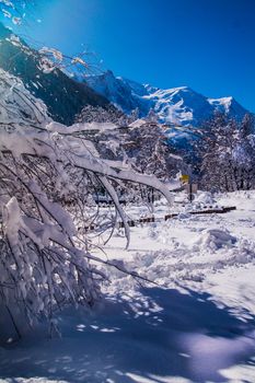 argentiere in chamonix in haute savoie in france