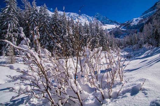 argentiere in chamonix in haute savoie in france