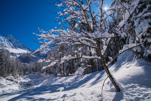 argentiere in chamonix in haute savoie in france