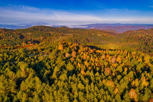 Aerial view of autumn forest . Amazing landscape , trees with red and orange leaves in day, National Park Livaditis Xanthi, Greece