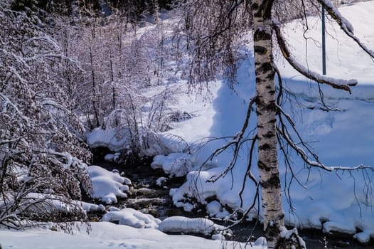 argentiere in chamonix in haute savoie in france