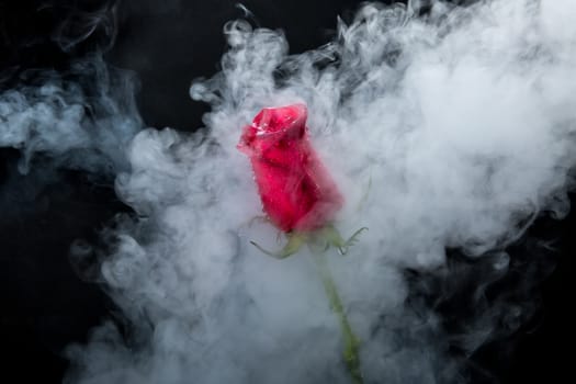 Red rose in clouds of smoke