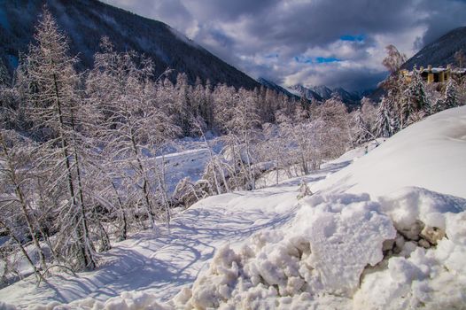 argentiere in chamonix in haute savoie in france