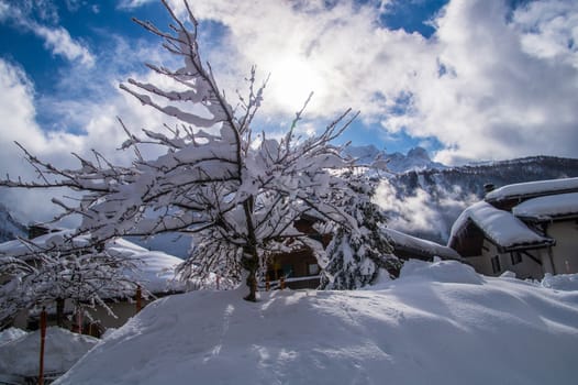 argentiere in chamonix in haute savoie in france