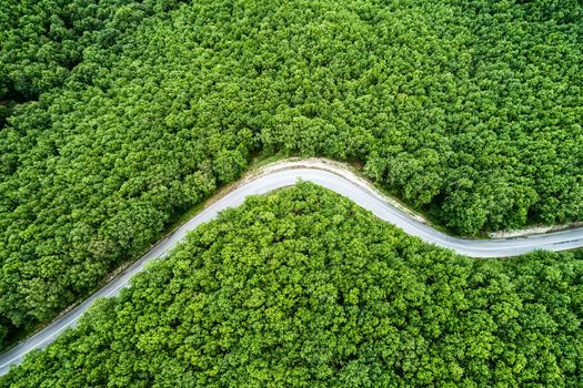 Aerial view of a provincial road passing through a forest ιn Chalkidiki, northern Greece