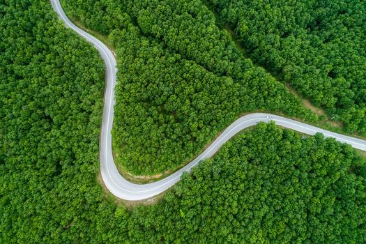 Aerial view of a provincial road passing through a forest ιn Chalkidiki, northern Greece