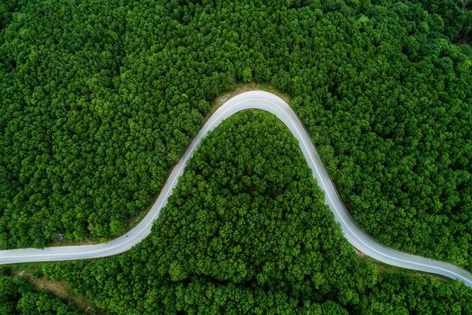 Aerial view of a provincial road passing through a forest ιn Chalkidiki, northern Greece