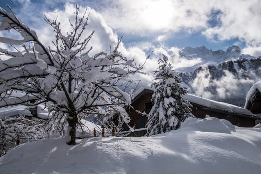 argentiere in chamonix in haute savoie in france