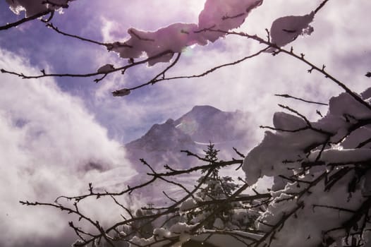 argentiere in chamonix in haute savoie in france