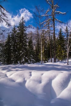 argentiere in chamonix in haute savoie in france