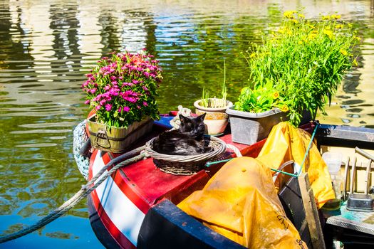 Napping cat in a basket on a moored narrowboat deck