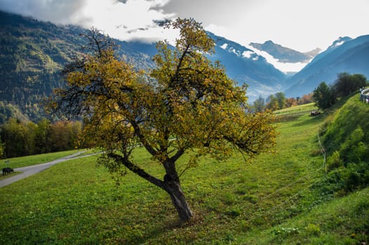 brusson in valais in swiss