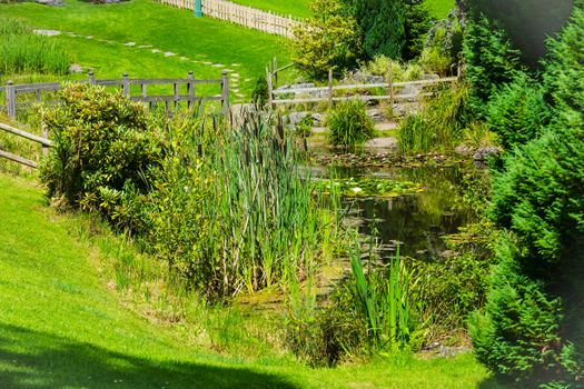 View accorss the ponds and lawns at Japanese Garden in Avenham and Miller Park, Preston