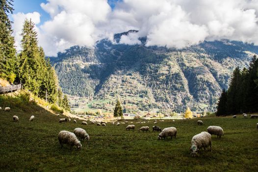 brusson in valais in swiss