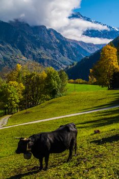 brusson in valais in swiss