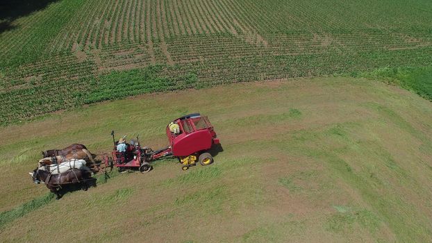 Aerial View of an Amish Farmer Harvesting His Crop with 4 Horses and Modern Equipment