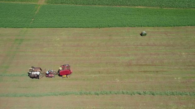 Aerial View of an Amish Farmer Harvesting His Crop with 4 Horses and Modern Equipment