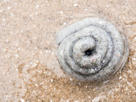 Pile of sand  on the beach from the excretion of lugworm